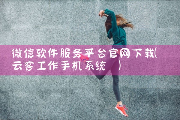 微信软件服务平台官网下载