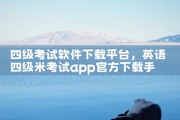 四级考试软件下载平台