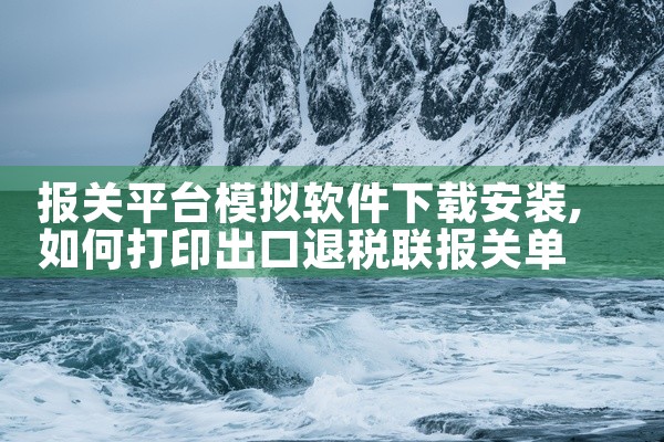 报关平台模拟软件下载安装