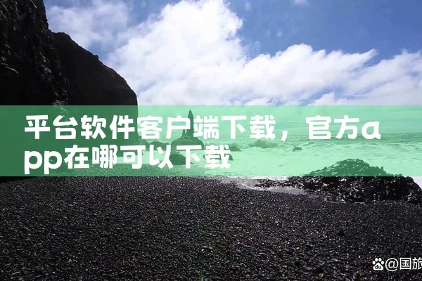 平台软件客户端下载