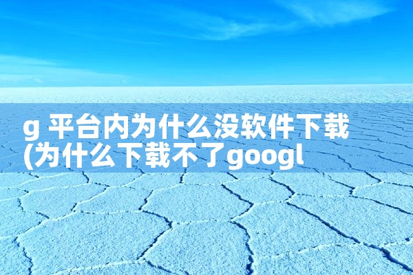 g 平台内为什么没软件下载