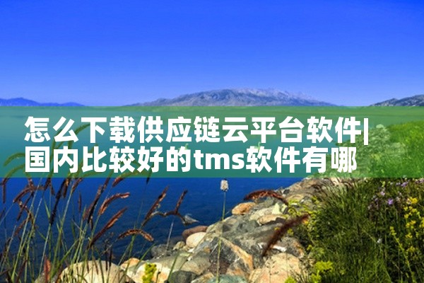 怎么下载供应链云平台软件