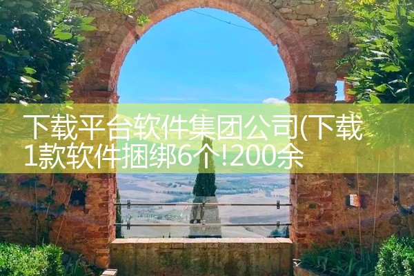 下载平台软件集团公司