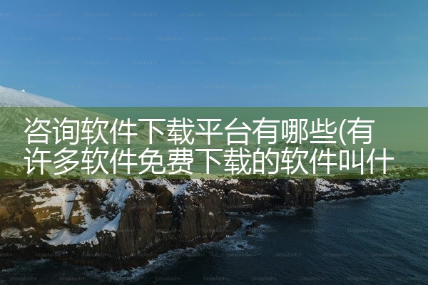 咨询软件下载平台有哪些
