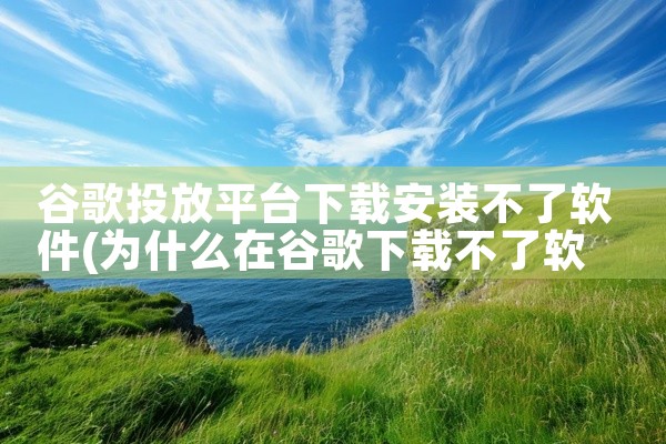 谷歌投放平台下载安装不了软件