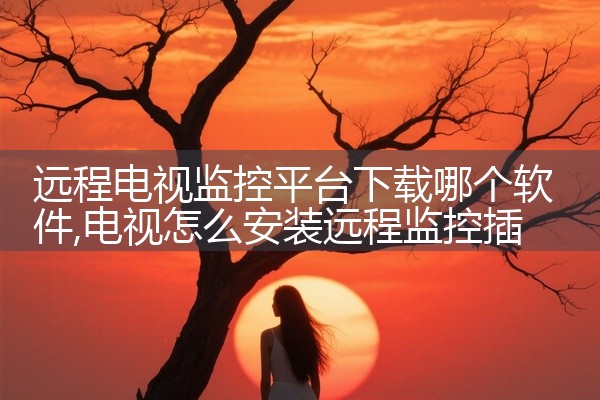 远程电视监控平台下载哪个软件