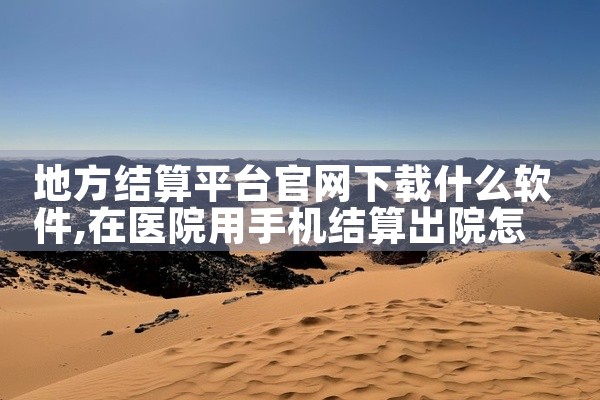 地方结算平台官网下载什么软件