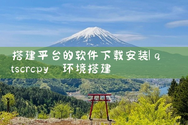 搭建平台的软件下载安装