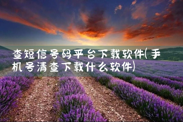 查短信号码平台下载软件