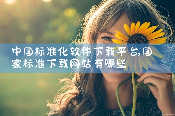 中国标准化软件下载平台