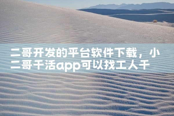 二哥开发的平台软件下载