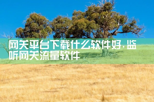 网关平台下载什么软件好